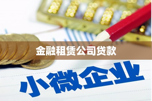 港南金融租赁公司贷款