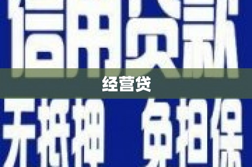 港南经营贷
