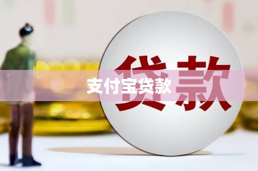 港南支付宝贷款
