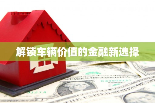 港南解锁车辆价值的金融新选择