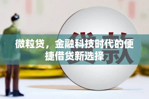 港南微粒贷，金融科技时代的便捷借贷新选择