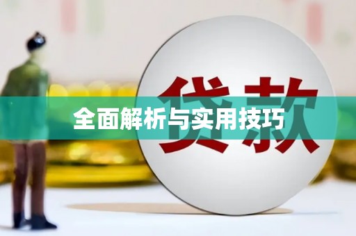 港南全面解析与实用技巧