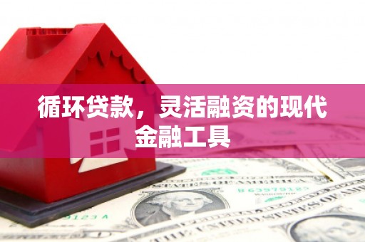 港南循环贷款，灵活融资的现代金融工具