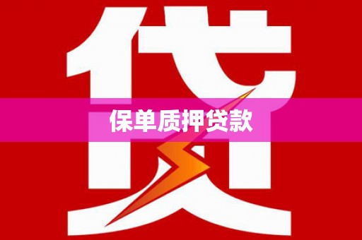 港南保单质押贷款
