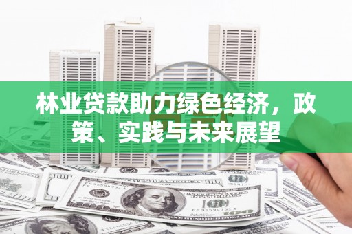 港南林业贷款助力绿色经济，政策、实践与未来展望