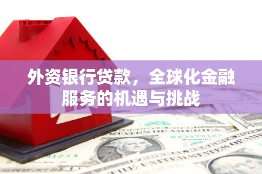 港南外资银行贷款，全球化金融服务的机遇与挑战
