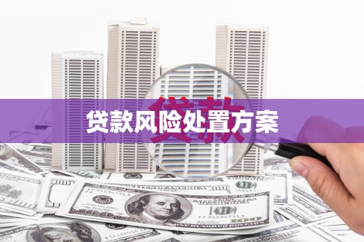 港南贷款风险处置方案
