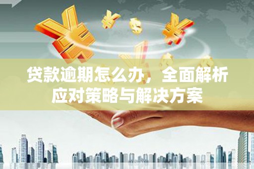 港南贷款逾期怎么办，全面解析应对策略与解决方案