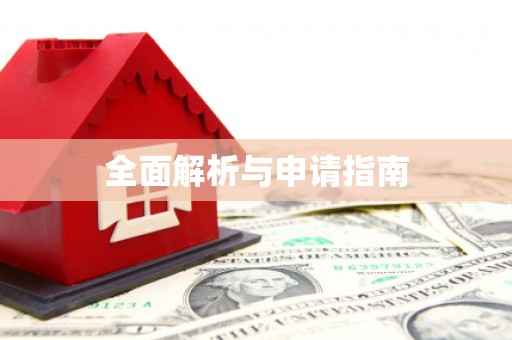 港南全面解析与申请指南