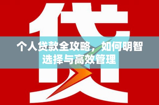 港南个人贷款全攻略，如何明智选择与高效管理