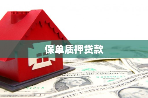 港南保单质押贷款