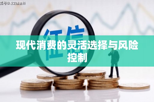 港南现代消费的灵活选择与风险控制