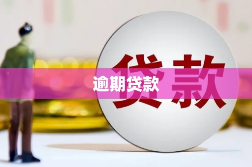 港南逾期贷款