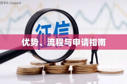 港南优势、流程与申请指南