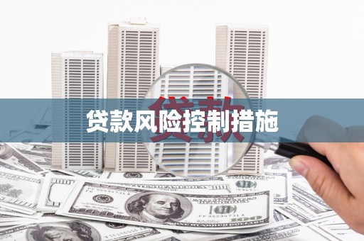港南贷款风险控制措施