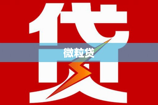 港南微粒贷