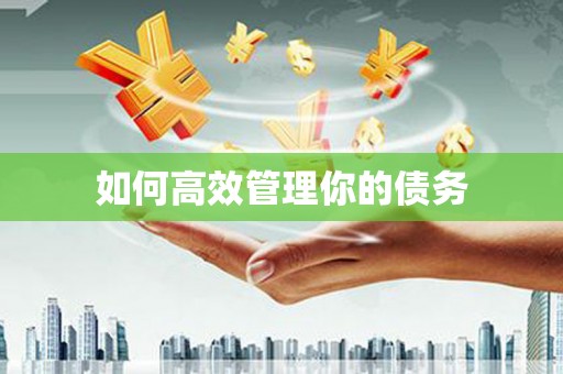 港南如何高效管理你的债务