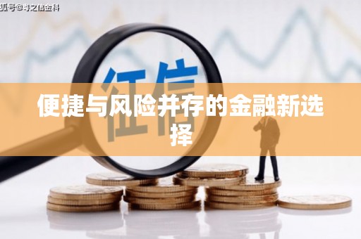 港南便捷与风险并存的金融新选择