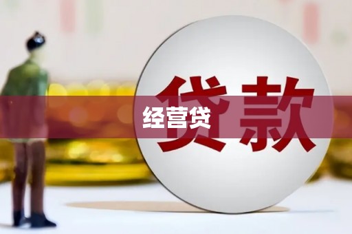 港南经营贷
