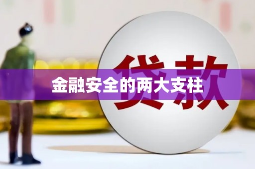 港南金融安全的两大支柱
