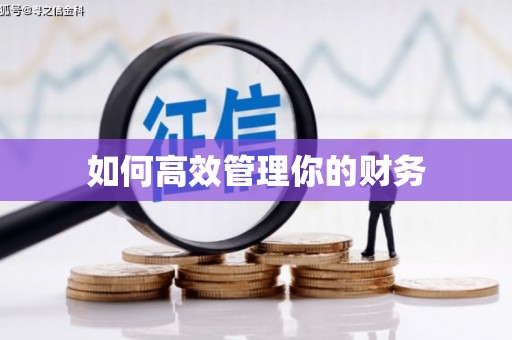 港南如何高效管理你的财务