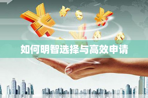 港南如何明智选择与高效申请