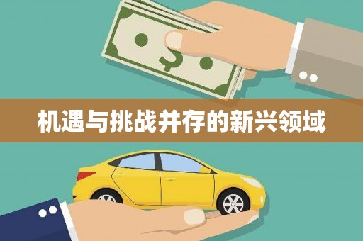 港南机遇与挑战并存的新兴领域