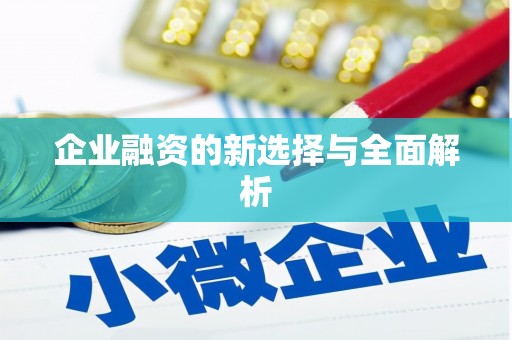 港南企业融资的新选择与全面解析