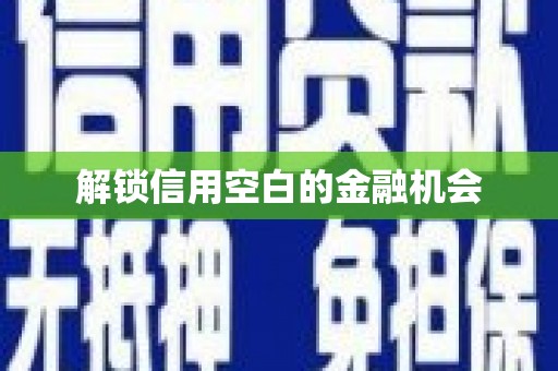 港南解锁信用空白的金融机会