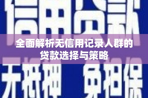 港南全面解析无信用记录人群的贷款选择与策略