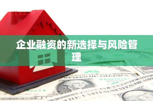 港南企业融资的新选择与风险管理