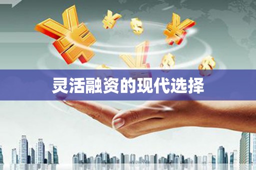 港南灵活融资的现代选择