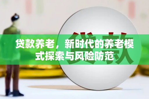 港南贷款养老，新时代的养老模式探索与风险防范