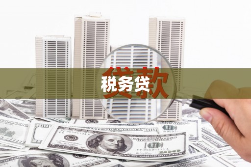 港南税务贷