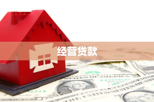 港南经营贷款