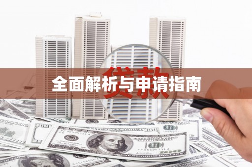 港南全面解析与申请指南