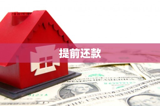 港南提前还款