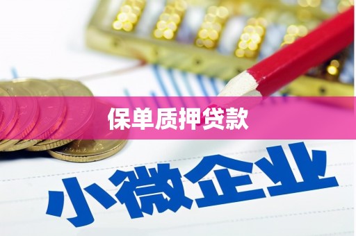港南保单质押贷款