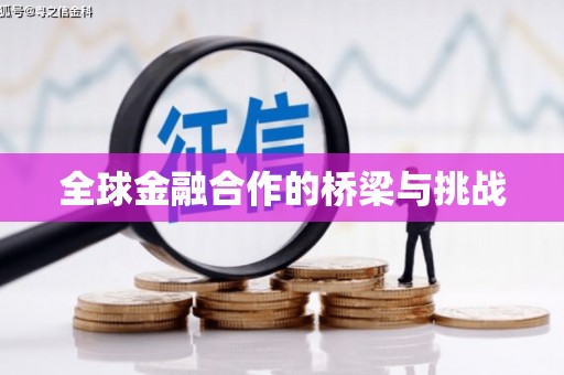 港南全球金融合作的桥梁与挑战