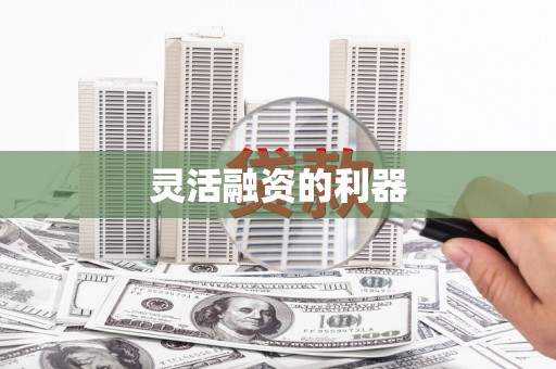 港南灵活融资的利器