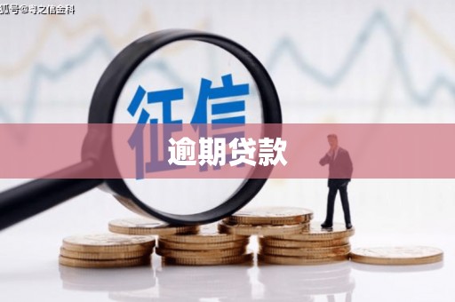 港南逾期贷款