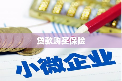 港南贷款购买保险