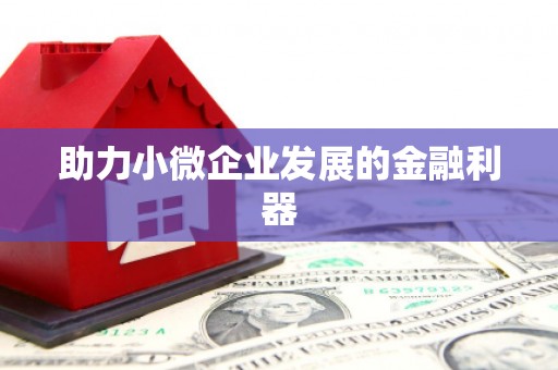 港南助力小微企业发展的金融利器