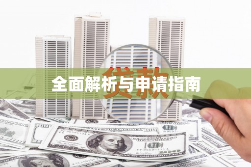 港南全面解析与申请指南