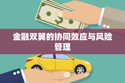港南金融双翼的协同效应与风险管理