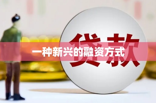 港南一种新兴的融资方式