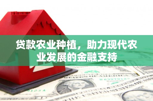 港南贷款农业种植，助力现代农业发展的金融支持