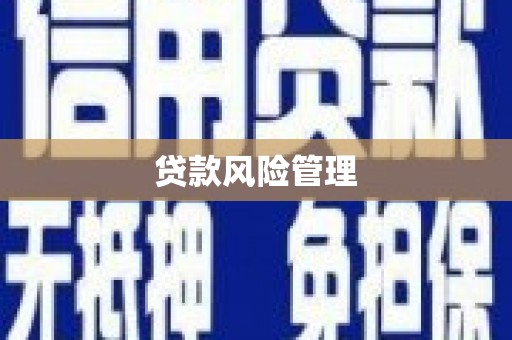 港南贷款风险管理