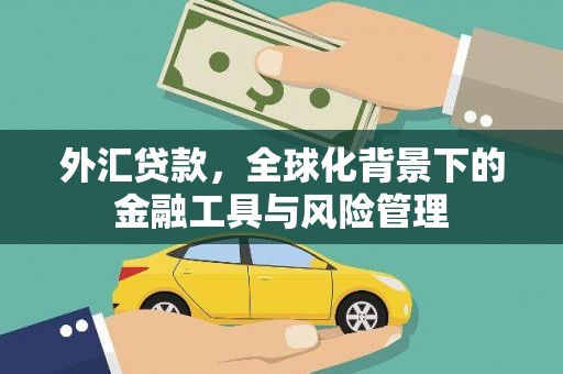港南外汇贷款，全球化背景下的金融工具与风险管理