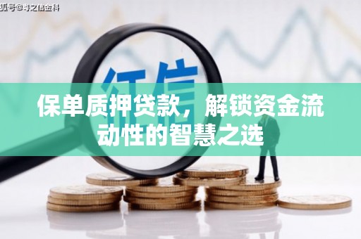 港南保单质押贷款，解锁资金流动性的智慧之选